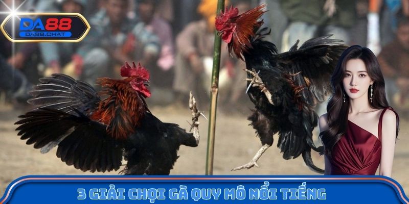 3 giải chọi gà quy mô nổi tiếng